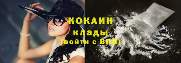 ГАЛЛЮЦИНОГЕННЫЕ ГРИБЫ Лагань