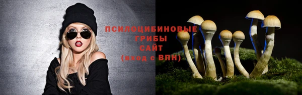 2c-b Кулебаки
