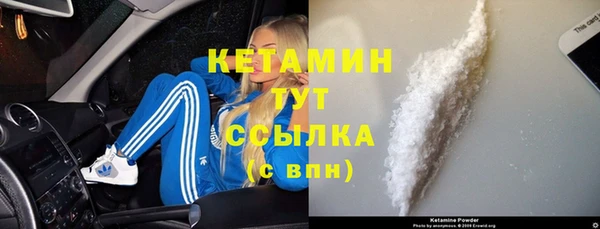 ГАЛЛЮЦИНОГЕННЫЕ ГРИБЫ Лагань